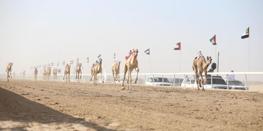 «خيال»
      تعانق
      كأس
      الإيذاع
      في
      ختام
      مهرجان
      الظفرة - ستاد العرب