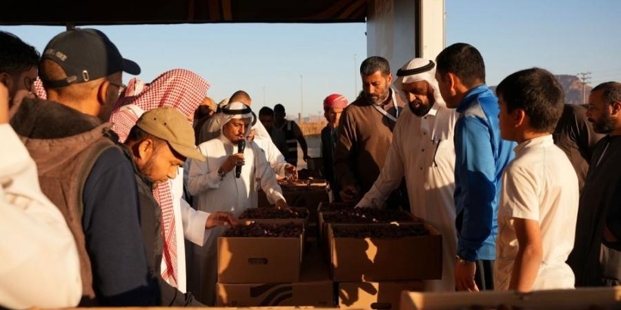 صور| انطلاق فعاليات موسم التمور بسوق المزارعين بمحافظة العلا - ستاد العرب