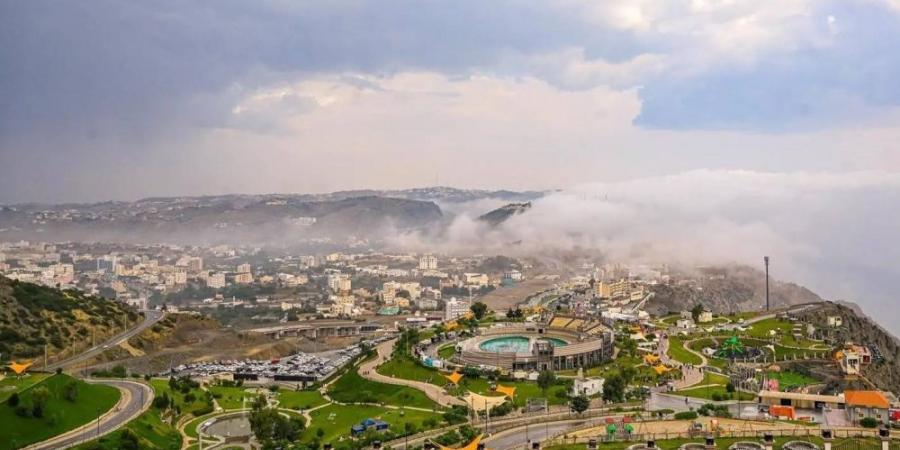 جبل النور.. مدينة صحية عالمية في الباحة - ستاد العرب