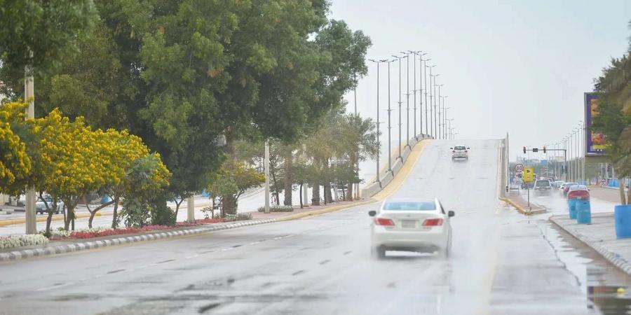 تقلبات جوية عنيفة تضرب 4 مناطق بالمملكة بدءاً من اليوم.. والدفاع المدني يحذر - ستاد العرب