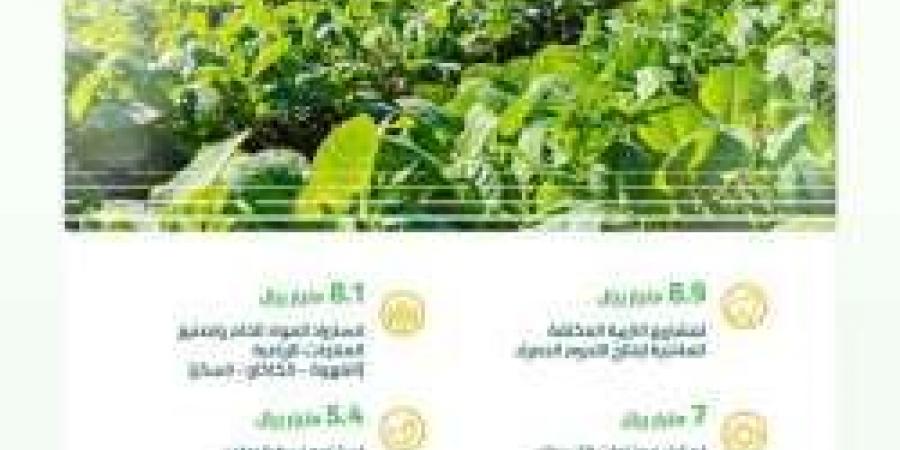 البيئة: استثمارات بنحو 37 مليار ريال للقطاع الخاص للمساهمة في تطوير واستدامة قطاع الزراعة والأغذية في المملكة - ستاد العرب