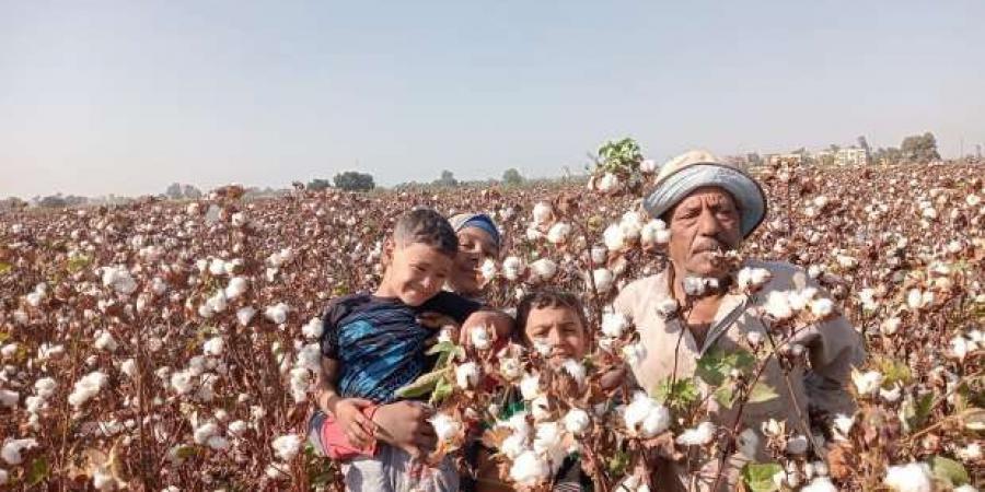 أخبار
      القطن
      اليوم
      في
      المحافظات..
      سعر
      القنطار
      وتفاصيل
      المزاد
      القادم - ستاد العرب