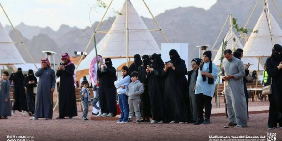 "محمية الملك سلمان" تطلق فعاليات مهرجان وادي السلف - ستاد العرب