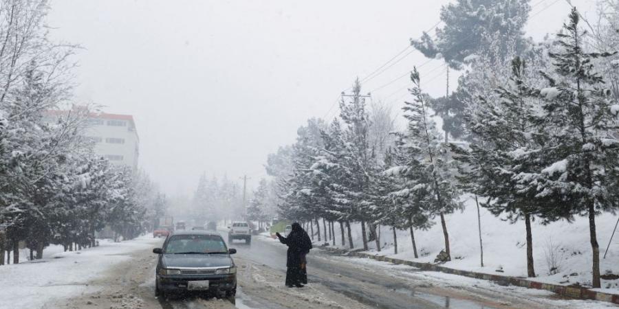 تساقط الثلوج بجبل لبنان يعطل المدارس والمؤسسات - ستاد العرب