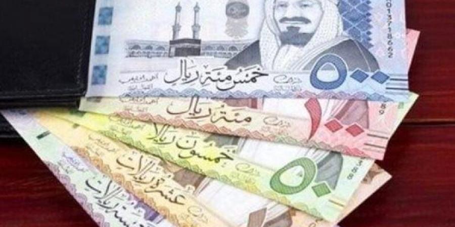 سعر الريال السعودي مقابل الجنيه المصري اليوم الأربعاء - ستاد العرب