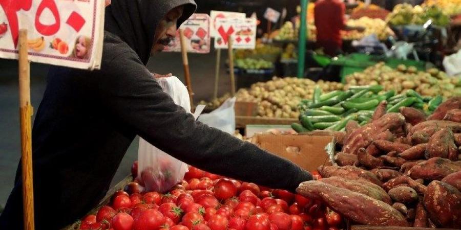 «شعبة الخضراوات»: نمو الصادرات الزراعية واعتماد السياحة على الإنتاج المحلي - ستاد العرب