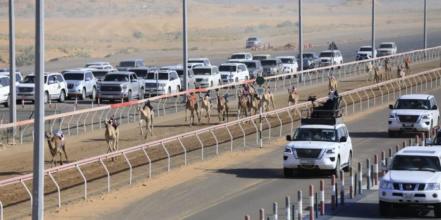 «الشارقة
      للهجن»
      ينظم
      سباق
      الفطامين
      في
      عيد
      الاتحاد - ستاد العرب