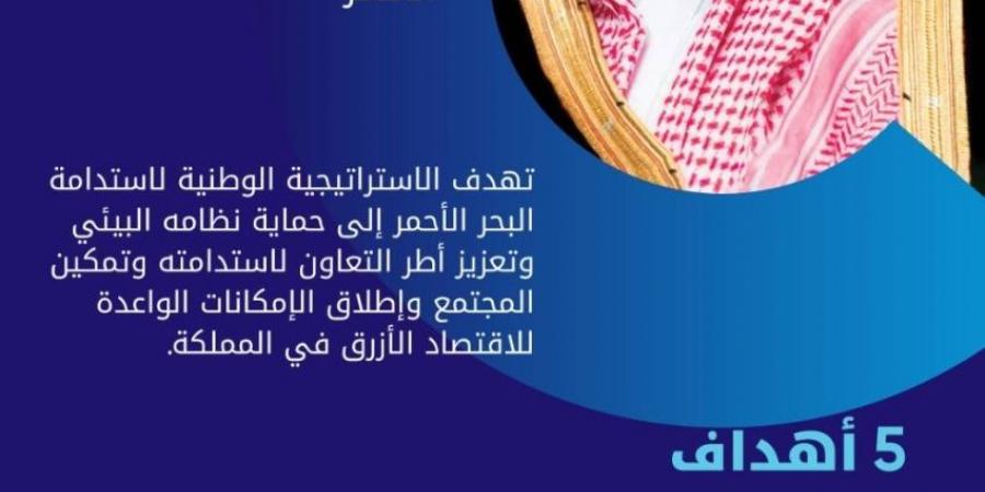 ولي العهد يطلق الإستراتيجية الوطنية لاستدامة البحر الأحمر - ستاد العرب