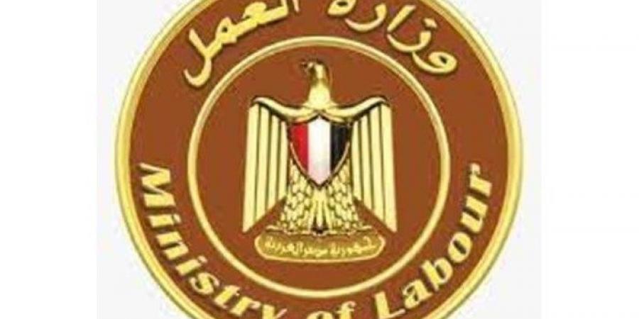 شروط عمل الأجانب في مصر وفقا للقانون، الإجراءات والمستندات المطلوبة - ستاد العرب