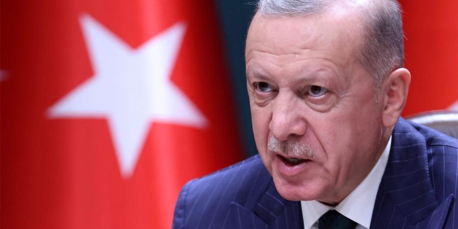 أردوغان: نأمل أن تتواصل مسيرة المعارضة في سورية دون أي مشاكل - ستاد العرب