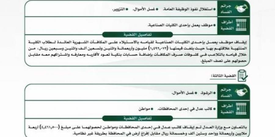 هيئة الرقابة ومكافحة الفساد تباشر عددًا من القضايا الجنائية - ستاد العرب