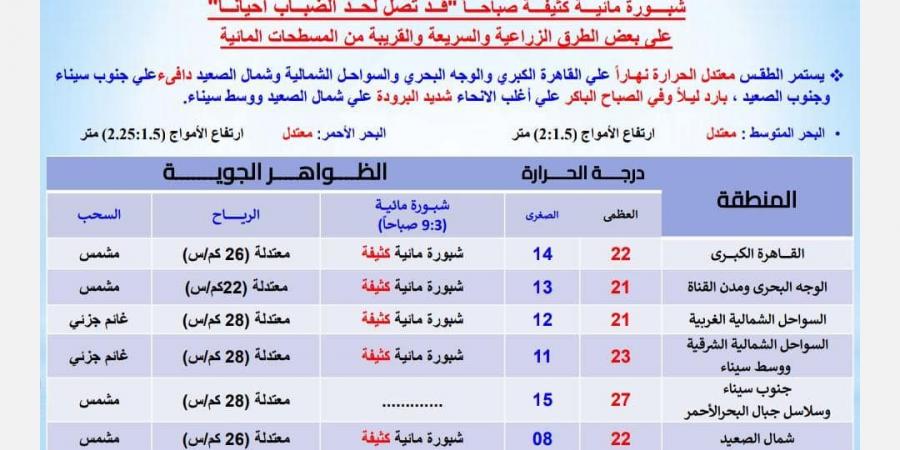 «الأرصاد»: طقس اليوم معتدل نهارا والعظمى بالقاهرة 22 درجة - ستاد العرب