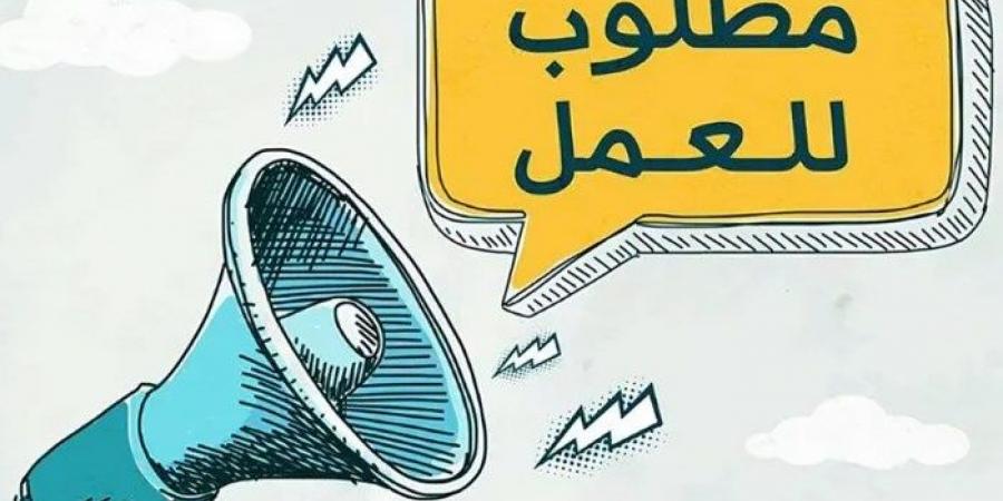 وزارة العمل توفر وظائف للشباب في الداخل والخارج - ستاد العرب