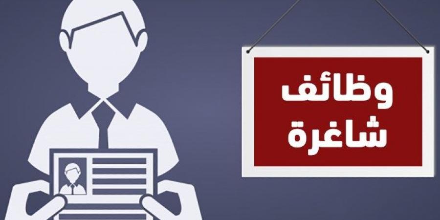 فرصة ذهبية للعمل في شركة الكهرباء، الشروط وطريقة التقديم - ستاد العرب