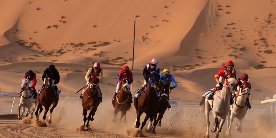 «العريق»
      و«شامخ»
      بطلا
      الخيول
      العربية
      في
      مهرجان
      ليوا
      الدولي - ستاد العرب