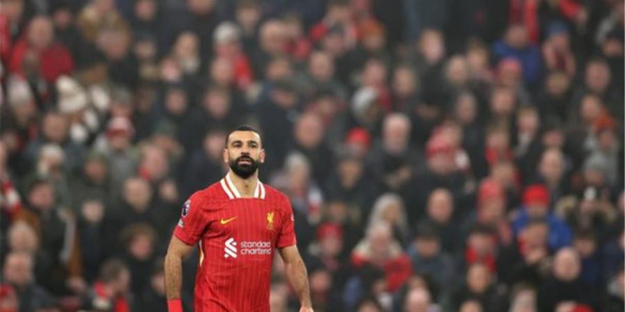 بينهم
      محمد
      صلاح..
      الأهداف
      المرشحة
      لجائزة
      الأفضل
      في
      ليفربول
      بشهر
      ديسمبر - ستاد العرب