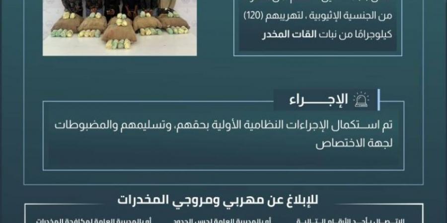 حرس الحدود بعسير يقبض على (6) مخالفين لتهريبهم (120) كيلوجرامًا من القات المخدر - ستاد العرب