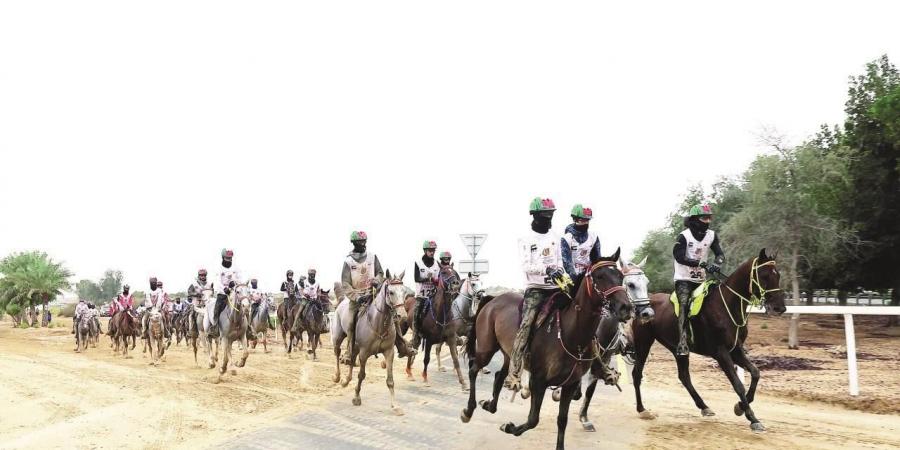 كأس
      ولي
      عهد
      دبي
      يختتم
      مهرجان
      القدرة - ستاد العرب