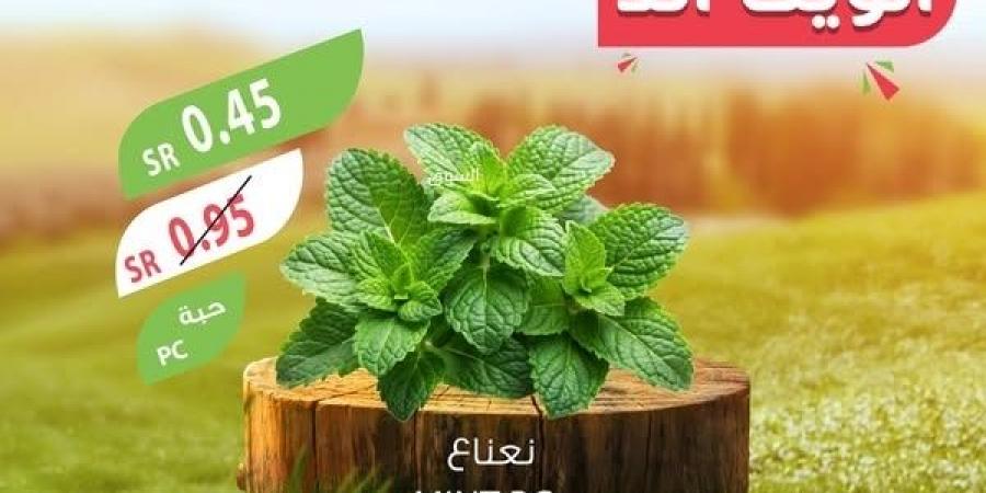 عروض
      المزرعة
      اليوم
      16
      يناير
      2025
      الموافق
      16
      رجب
      1446
      عروض
      الويكند
      الحصرية
      من
      16
      وحتى
      18
      يناير - ستاد العرب