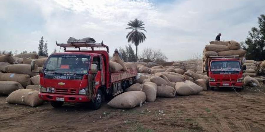 وكيل
      «زراعة
      المنوفية»:
      توريد
      71
      ألف
      قنطار
      قطن
      إلى
      محلج
      تلا - ستاد العرب