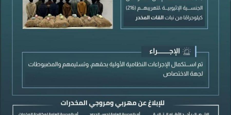 حرس الحدود بجازان يقبض على 12 مخالفًا لتهريبهم 216 كيلوجرامًا من القات المخدر - ستاد العرب