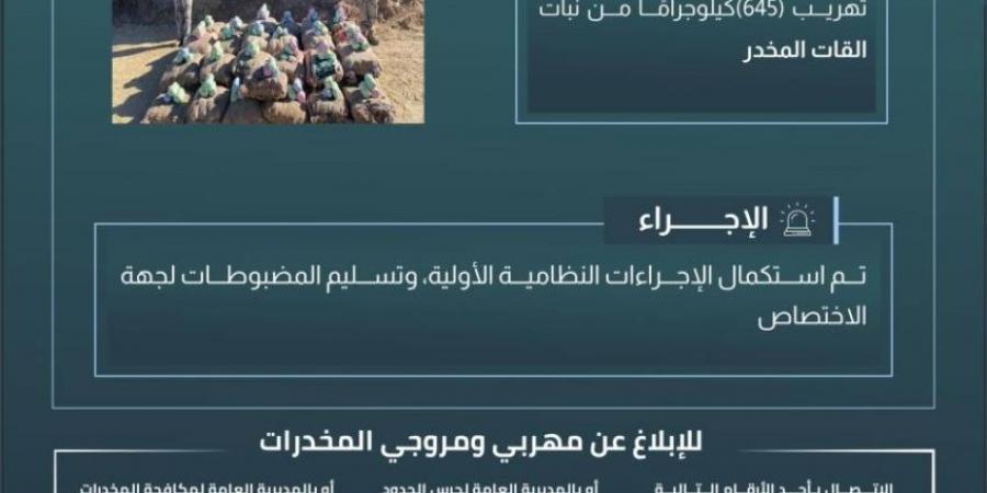 حرس الحدود بعسير يحبط تهريب (645) كيلوجرامًا من القات المخدر - ستاد العرب