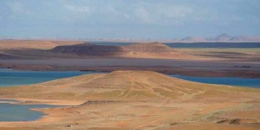 الأراضي الرطبة.. نظم بيئية حيوية بأنواع مختلفة بمحمية الملك سلمان الملكية - ستاد العرب