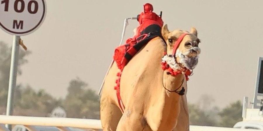 سلطان
      بن
      حمدان
      يشيد
      بإنجاز
      هجن
      الرئاسة
      في
      الجنادرية - ستاد العرب