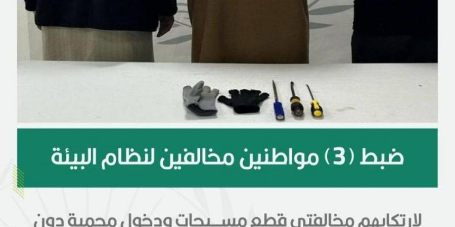 الأمن البيئي يضبط 3 مخالفين لارتكابهم مخالفتي قطع مسيجات ودخول محمية دون ترخيص - ستاد العرب