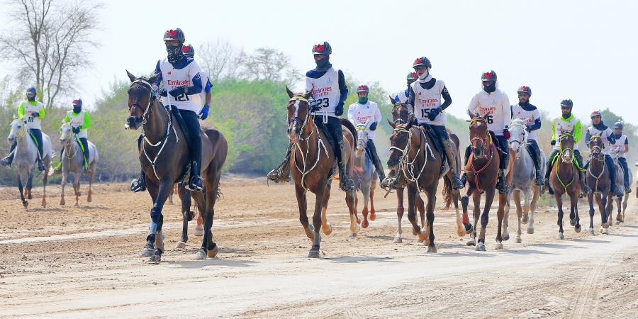 فتح
      التسجيل
      للمشاركة
      في
      مهرجان
      محمد
      بن
      راشد
      للقدرة - ستاد العرب