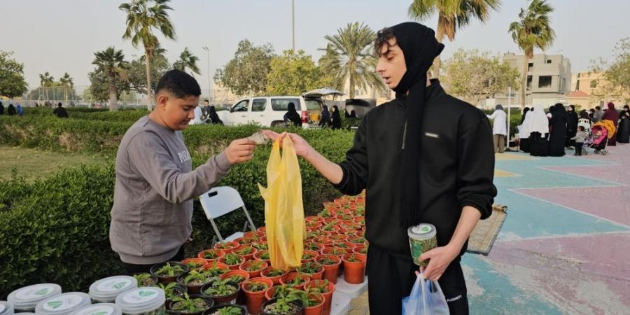 خالية من السعرات الحرارية.. إنتاج 35 ألف شتلة "ستيفيا" في مزرعة بالأوجام - ستاد العرب