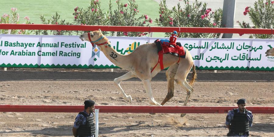 هجن
      الرئاسة
      تحصد
      سيف
      البشاير
      الذهبي
      في
      عُمان - ستاد العرب