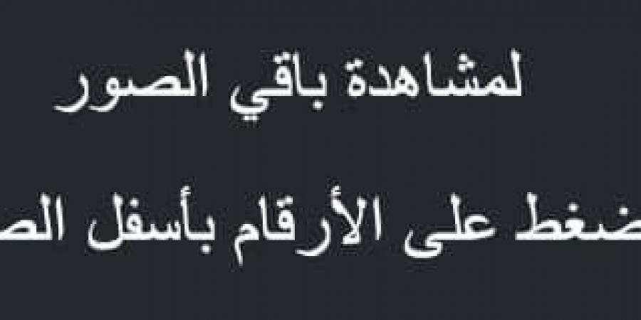 عروض
      العثيم
      الطازج
      اليوم
      17
      فبراير
      2025
      الموافق
      18
      شعبان
      1446
      مهرجان
      الخضار
      بتوفير
      1+1
      مجانًا - ستاد العرب