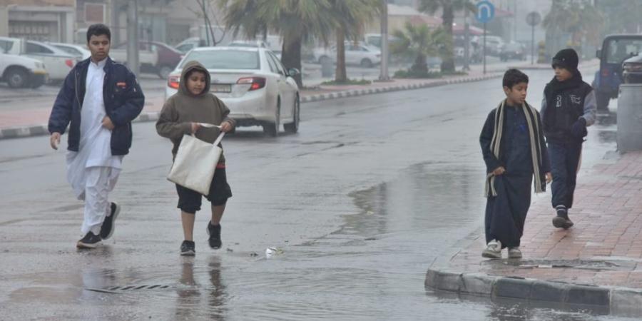 حالة الطقس.. استمرار هطول أمطار خفيفة مع نشاط في الرياح السطحية - ستاد العرب