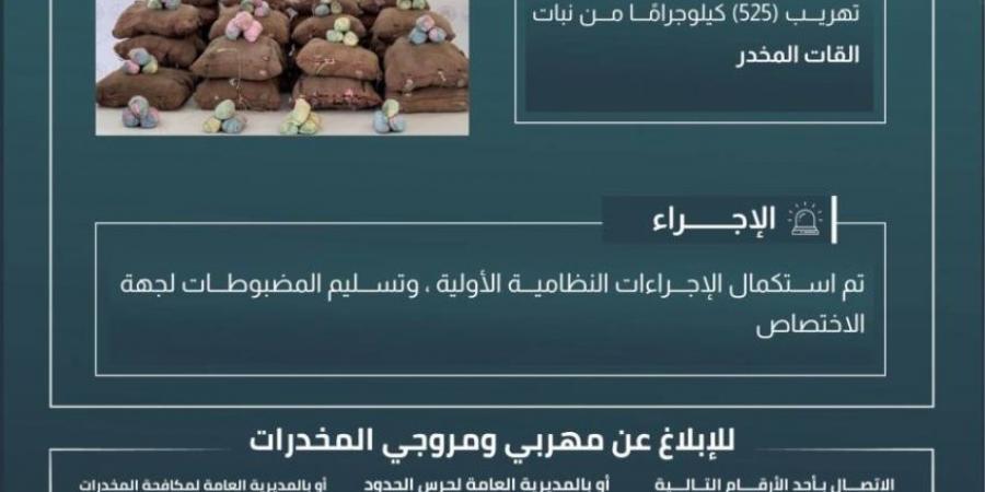 حرس الحدود بعسير يحبط تهريب (525) كيلوجرامًا من القات المخدر - ستاد العرب