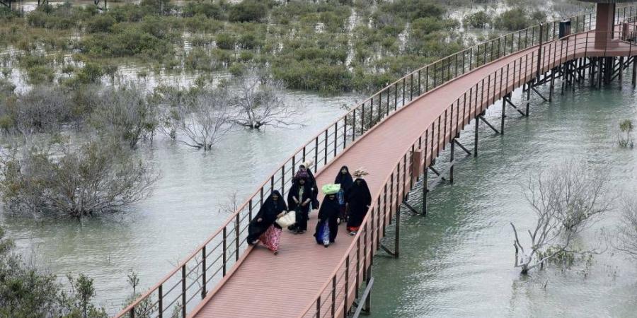 جسر
      بين
      الماضي
      والحاضر - ستاد العرب