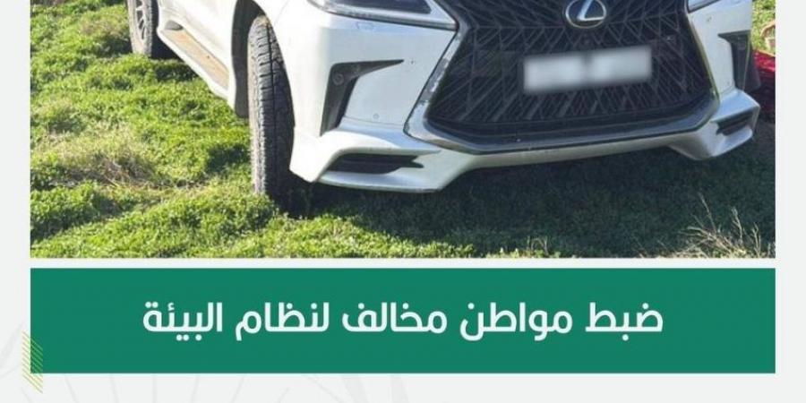 القوات الخاصة للأمن البيئي تضبط مواطنًا مخالفًا لنظام البيئة لدخوله بمركبته في الفياض والروضات في محمية الملك عبدالعزيز الملكية - ستاد العرب