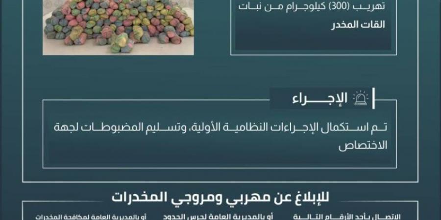 حرس الحدود بعسير يحبط تهريب (300) كيلوجرام من نبات القات المخدر - ستاد العرب