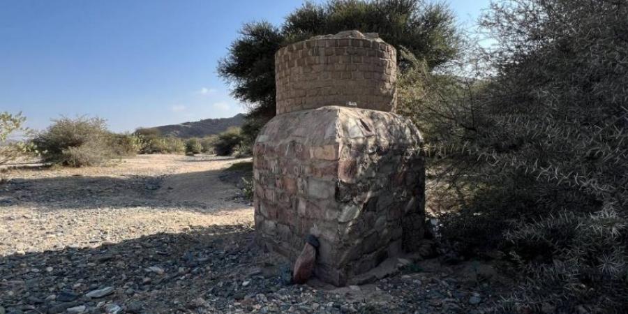 (120) عامًا.. قصة تحول الطائف من الآبار والعيون إلى الخزن الإستراتيجي العالمي - ستاد العرب