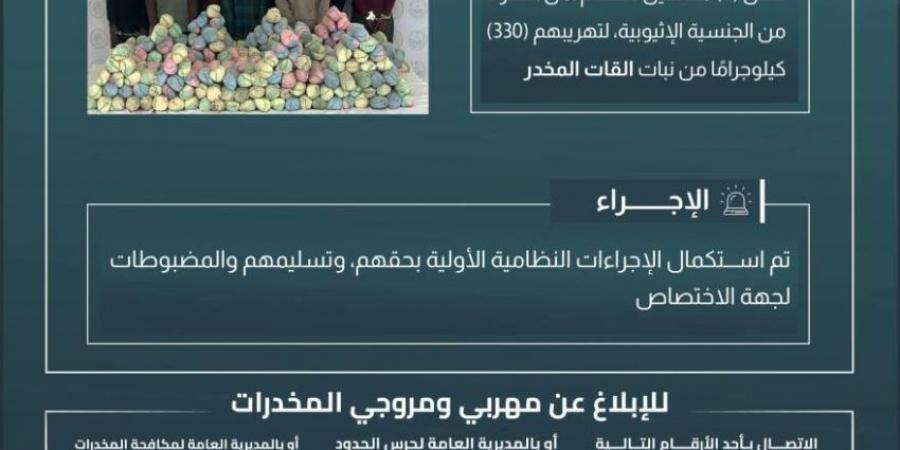 حرس الحدود بعسير يقبض على (8) مخالفين لتهريبهم (330) كيلوجرامًا من القات المخدر - ستاد العرب