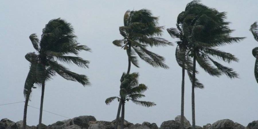 الأرصاد: رياح شديدة وارتفاع للأمواج على محافظة جزر فرسان - ستاد العرب