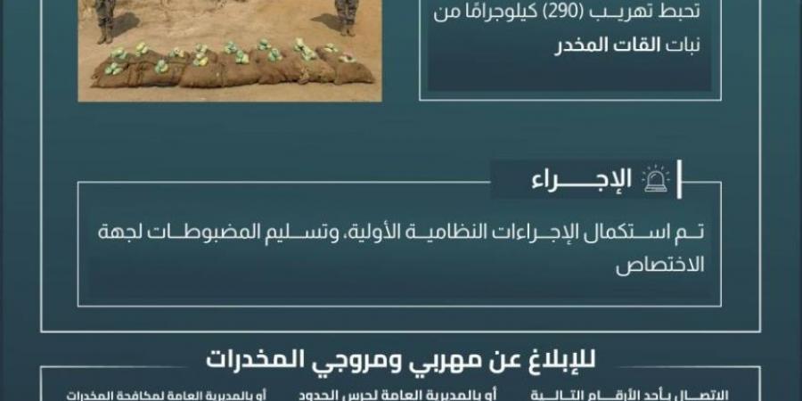 حرس الحدود بجازان يحبط تهريب (290) كيلوجرامًا من القات المخدر - ستاد العرب