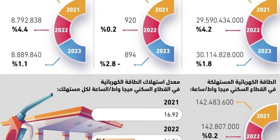 2.8% انخفاض استهلاك الفرد للبنزين - ستاد العرب