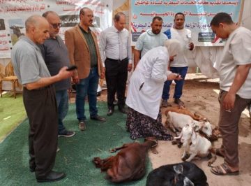 فحص وعلاج 3930 رأس ماشية وطائر خلال قافلة بيطرية في الدقهلية – الأسبوع