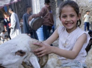 مصرع طفلة غرقا داخل ترعة الباجورية بالمنوفية – الأسبوع
