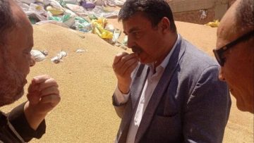 مدير تموين المنوفية يتابع انتظام توريد القمح عبر جولات ميدانية مكثفة – الأسبوع